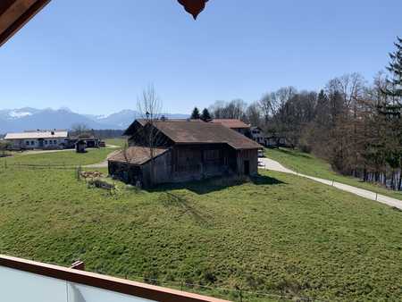 Single wohnung rosenheim
